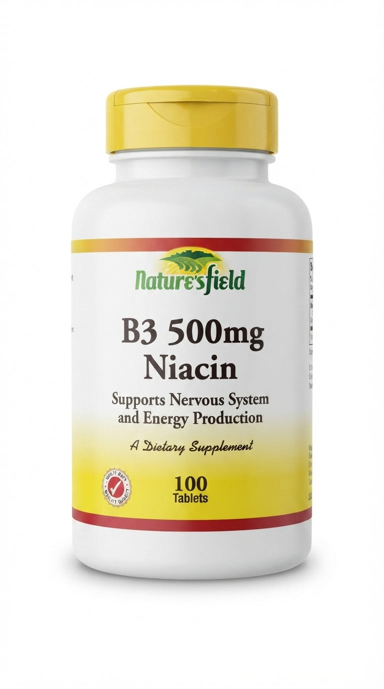 B3 500MG Niacin x 100
