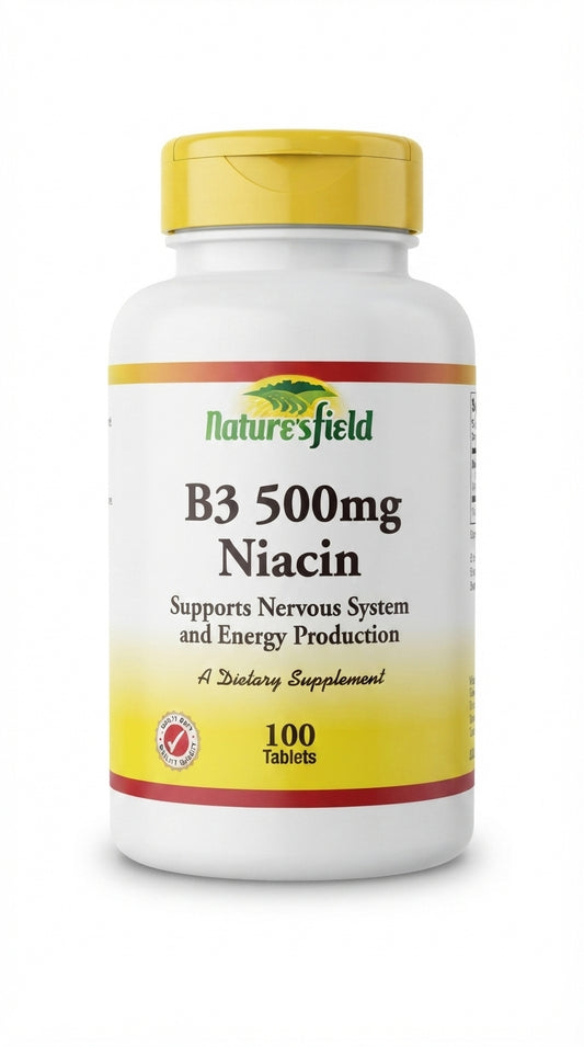 B3 500MG Niacin x 100