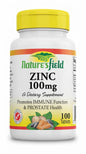 Zinc 100MG X 100
